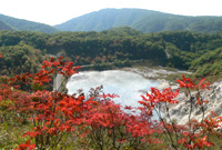 秋の大湯沼 写真